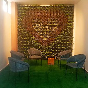 A biowall/vertical wall of a sitting area of a room with five chair to sit.