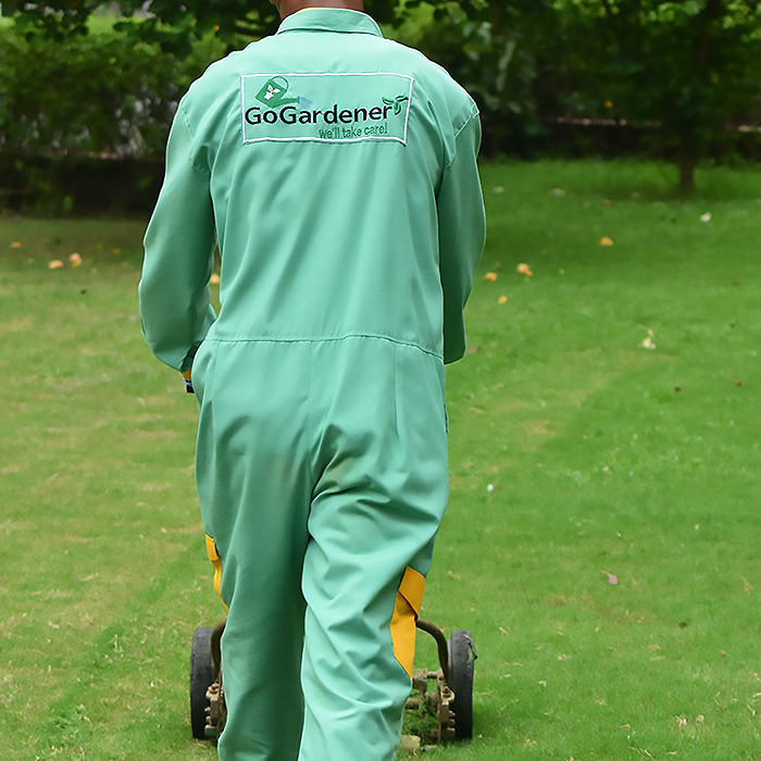 A gardener mowing the lawn with a manual grass-cutter.